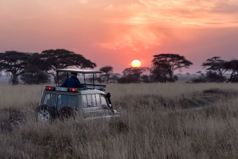 Los 5 mejores destinos para ir de safari